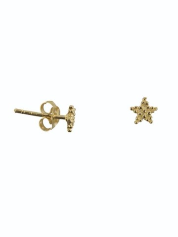 Betty bogaers dotted star stud earring gold plated